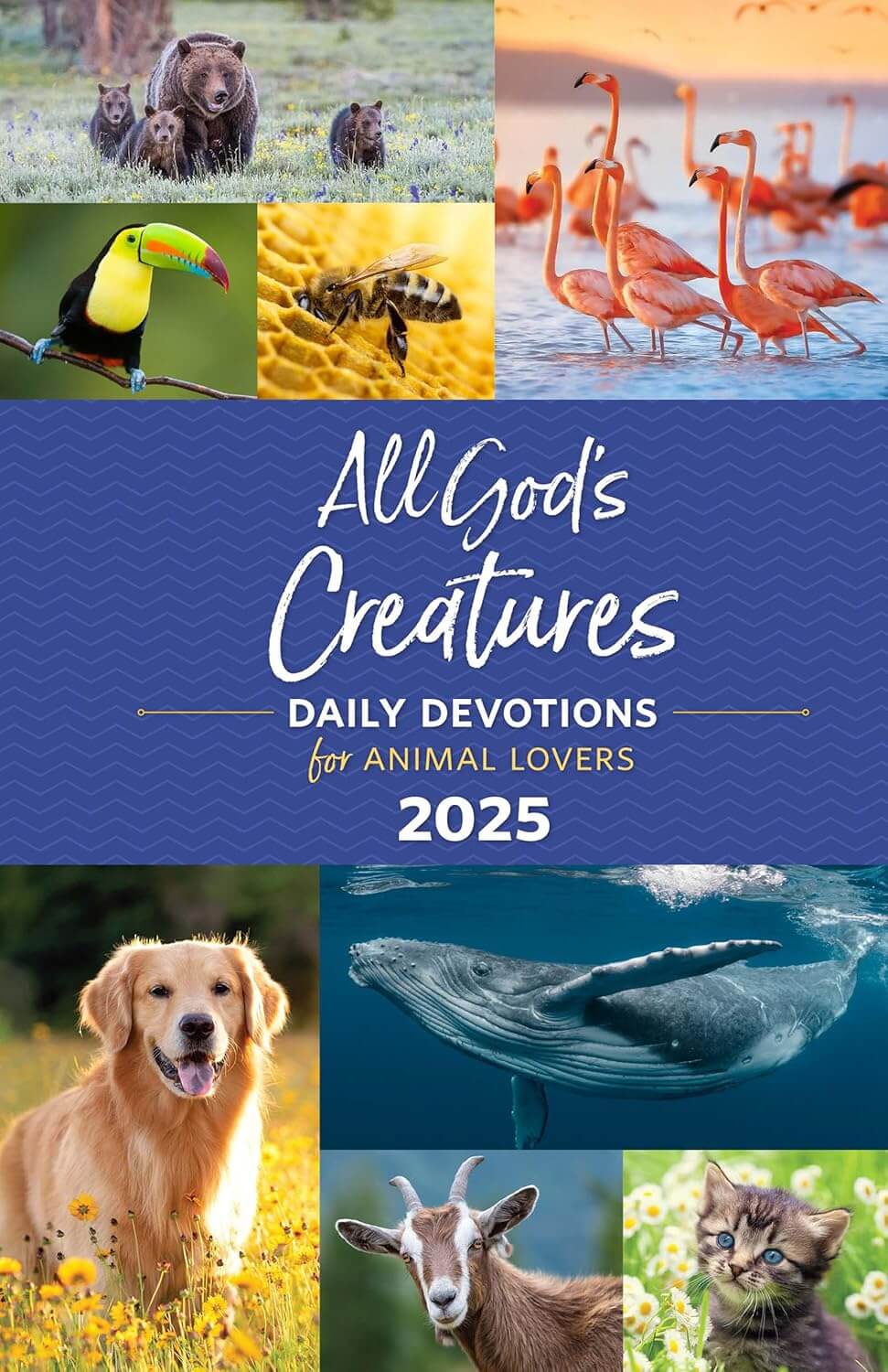 All God’s Creatures 2025 