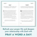 Pray a Word a Day Volume 2